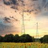 wind power, windräder, sunflower field